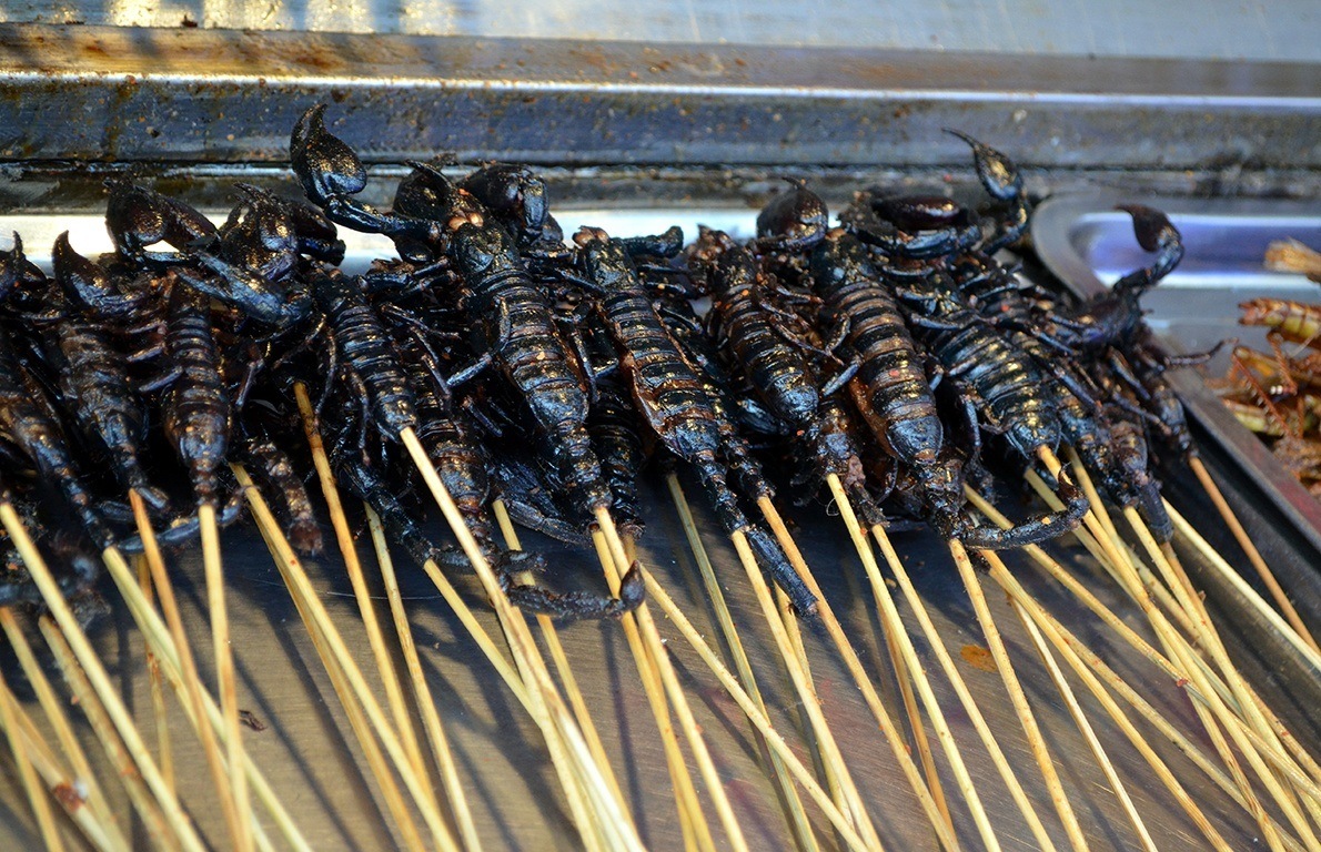 Fried Scorpion (Vietnam and other Asian countries) from Slideshow Are